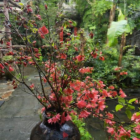 Wuyuan Qiye Yanxiang Guesthouse Kültér fotó