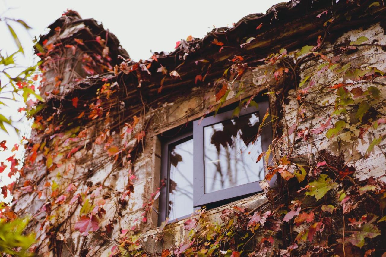 Wuyuan Qiye Yanxiang Guesthouse Kültér fotó